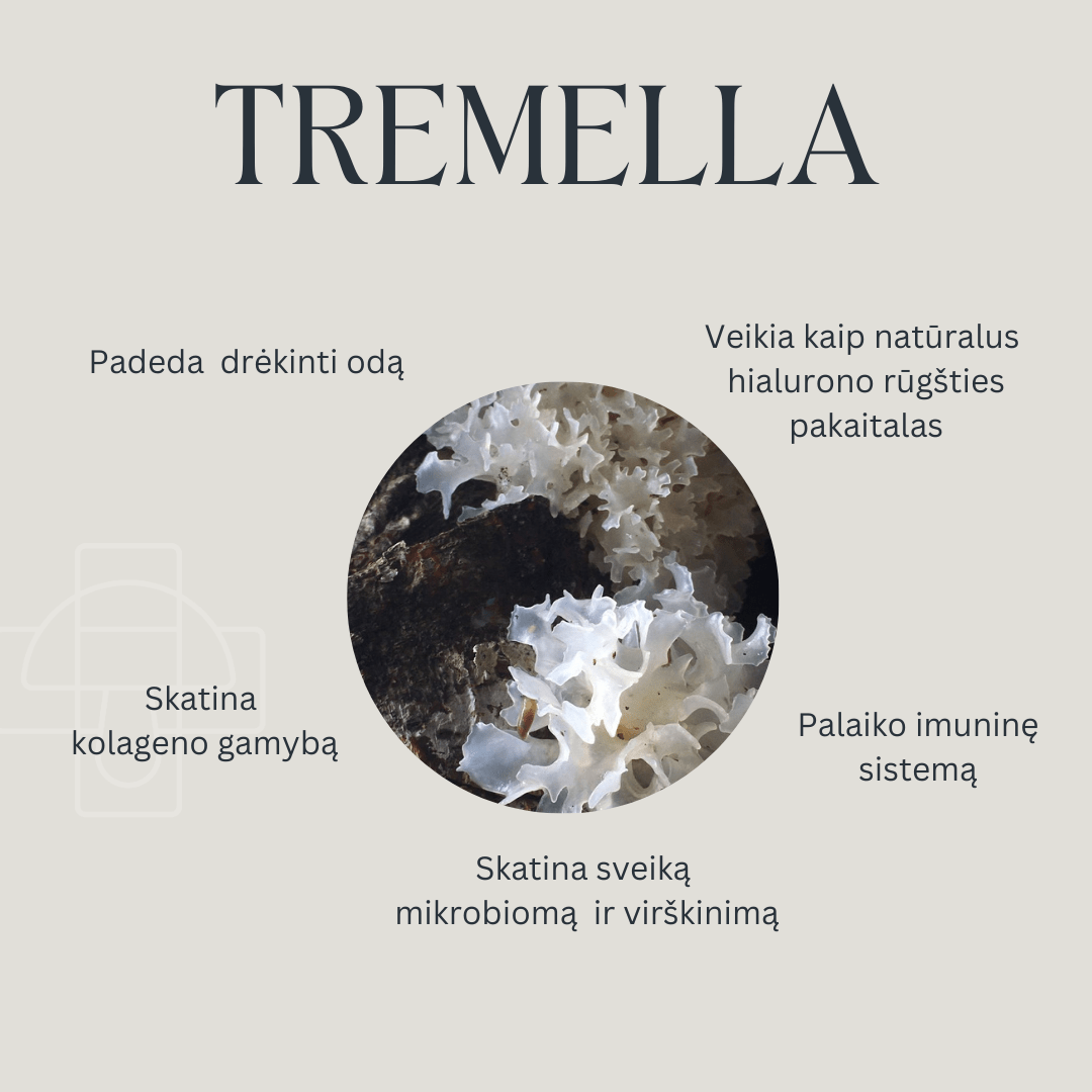 Tremella Tinktūra - Viskas iš grybų